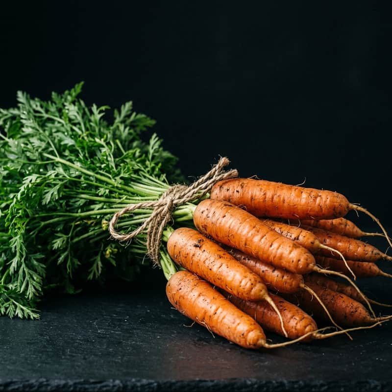 Zanahorias