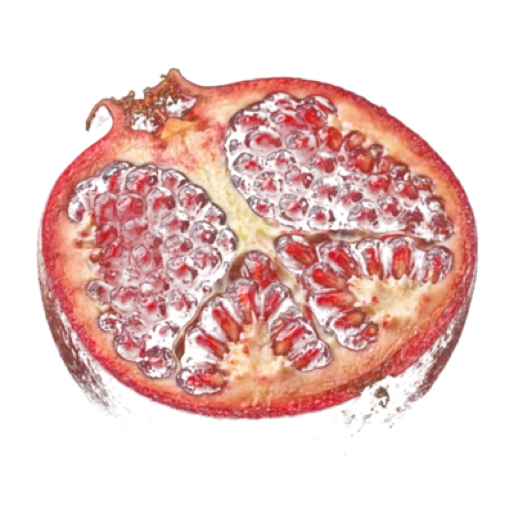 Arterial Health & Vitality