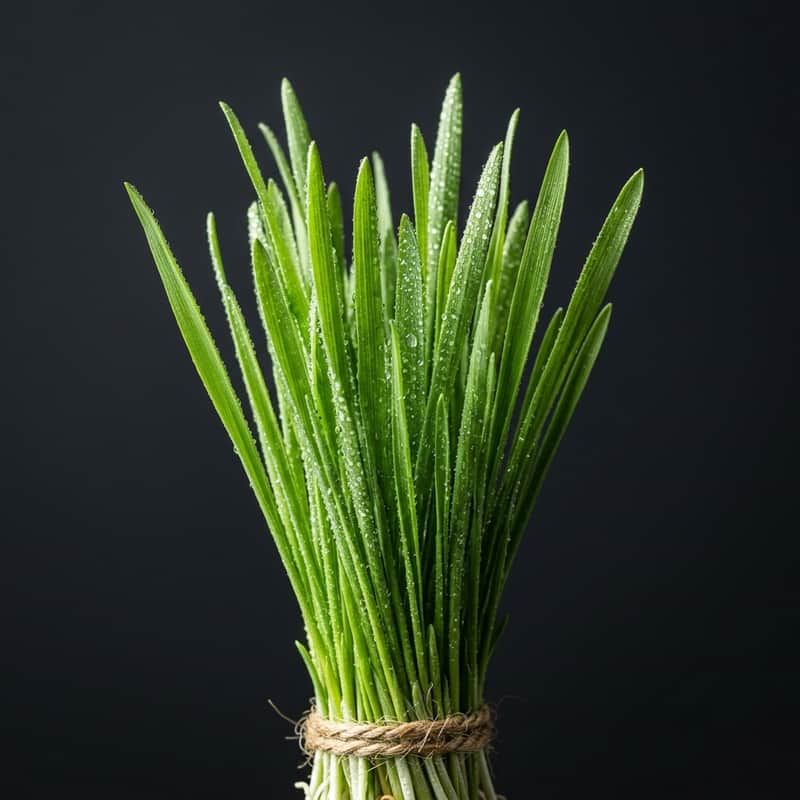 Wheatgrass